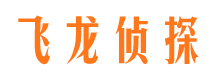 高平出轨调查